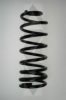 SPIDAN 55248 Coil Spring
